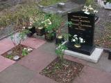 image of grave number 82564